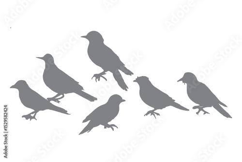 Dove birds  vector, Dove Clipart, Dove silhouette