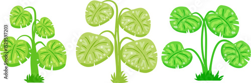 Tropical houseplants in pots. Flat vector cartoon with green leafy decor.