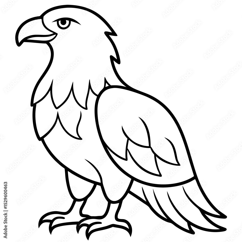 Obraz premium a eagle