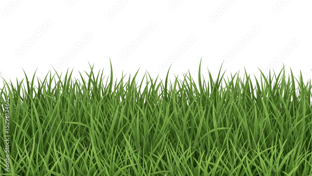 Fototapeta premium Green grass PNG file.