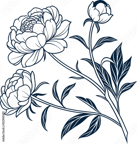 Elegant line art peonies floral branch design