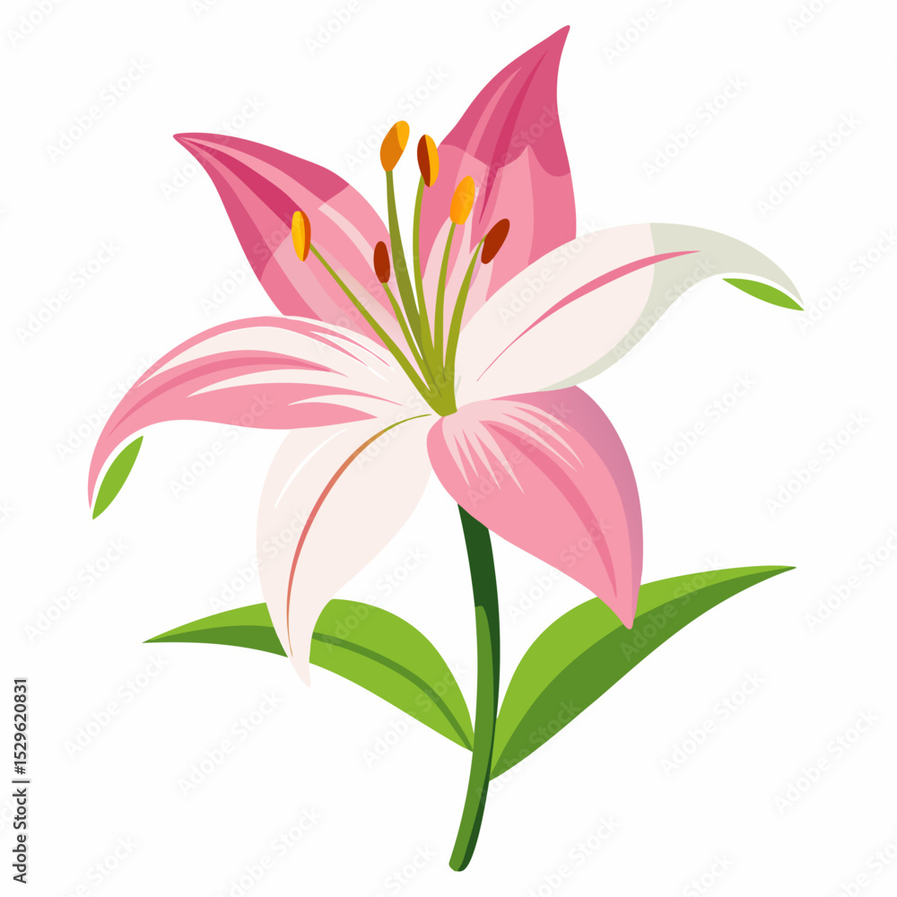 Elegant lily illustration on a clean white background perfect for spring nature and botanical designs Elegant lily illustration on a clean white background perfect for spring nature and botanical designs