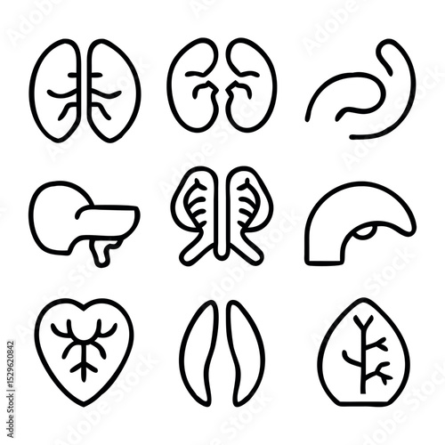 human internal organ icons lungs kidneys and more