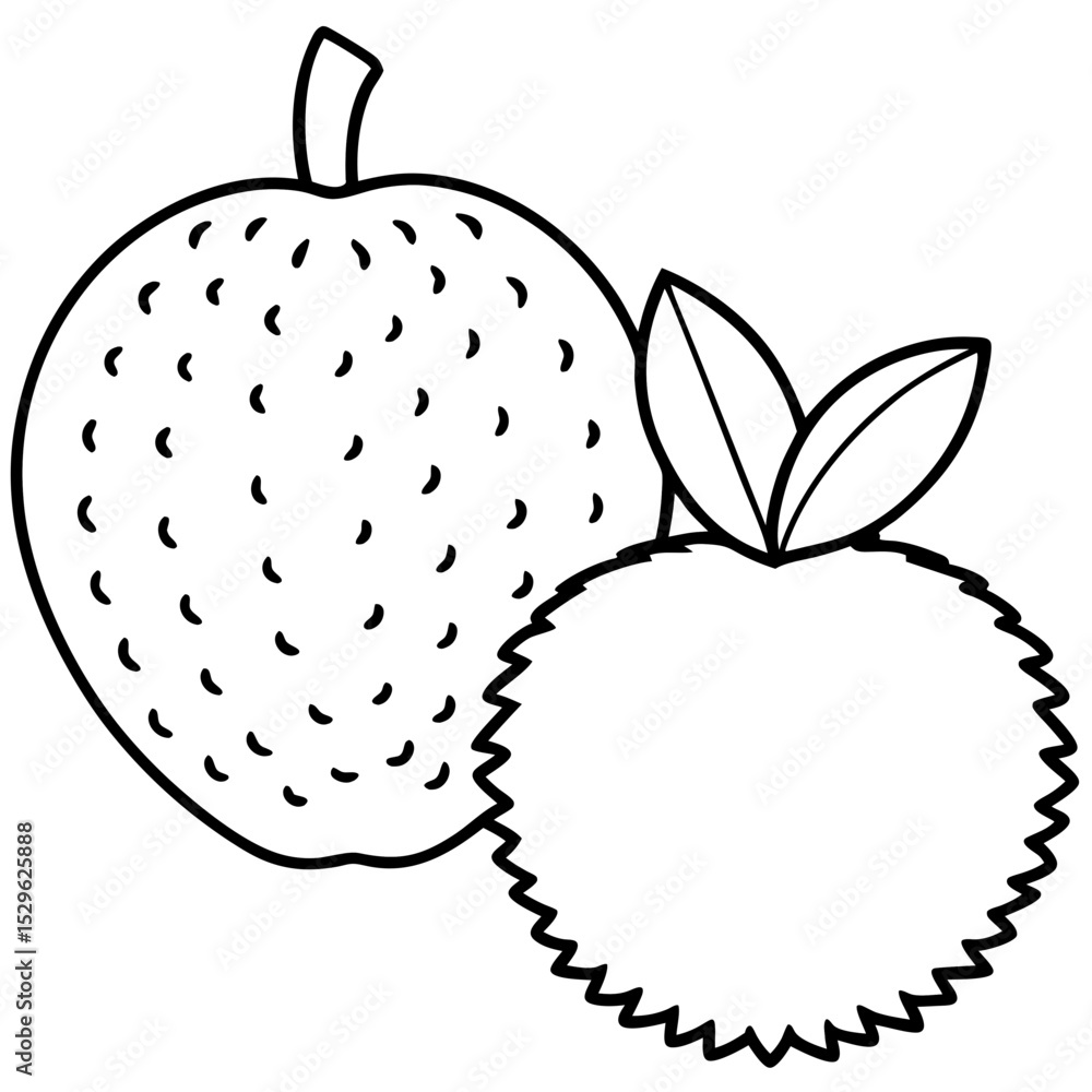 Fototapeta premium Breadfruit Apple line art vector