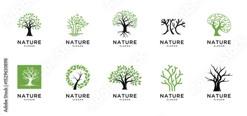 Tree and roots logo illustration collection. Tree of life logo design inspiration