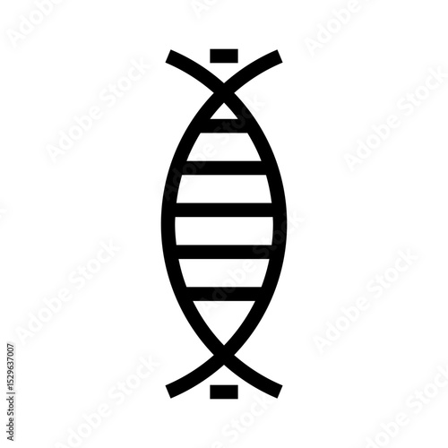 DNA Helix
