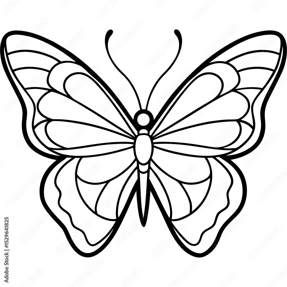 Obraz premium Butterfly line art vector
