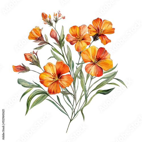 A Wallflower Bouquet, watercolor vector, high quality, isolated on a white background.