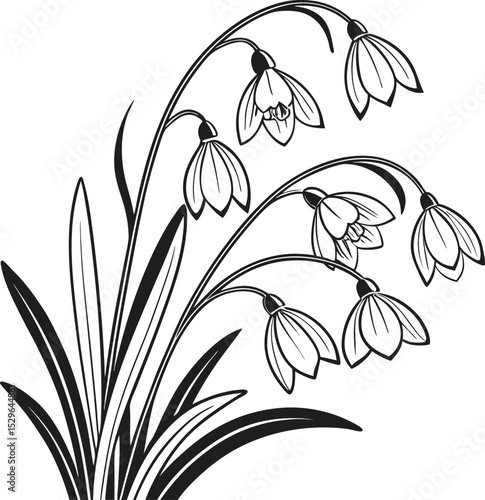 Isolated lily of the valley and white lily flowers bloom in a beautiful spring bouquet, showcasing their delicate white petals and green leaves in nature