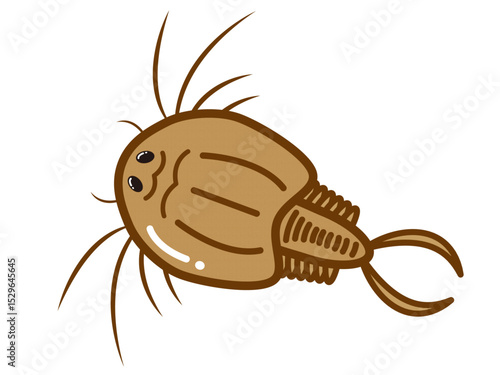 かわいいカブトエビのイラスト素材2