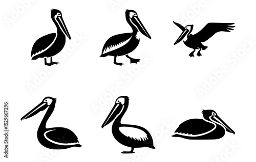 Multiple Pelican Silhouettes Against a Clean Backdrop