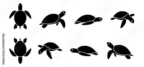 Sea turtle silhouettes in different poses, perfect for design use. These versatile shapes can be used in a variety of projects, adding a touch of the ocean's calm