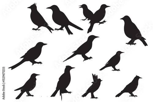 bird silhouettes, black and white, vector graphics, various poses, perched birds, flying birds, detailed bird shapes, minimalist design, ornithology illustration, nature clipart, bird watching guide,