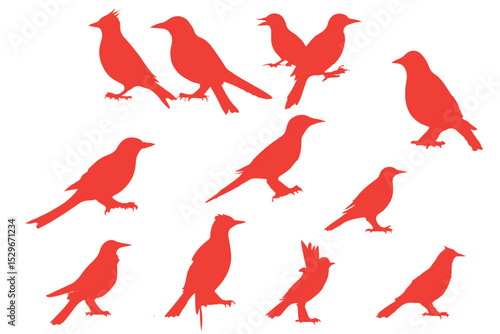 bird silhouettes, black and white, vector graphics, various poses, perched birds, flying birds, detailed bird shapes, minimalist design, ornithology illustration, nature clipart, bird watching guide,