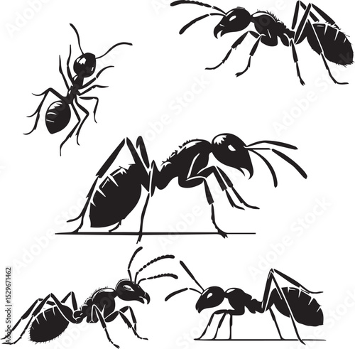 set of ants black vector silhouette 