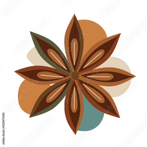 Geometric vector illustration of star anise spice on white background