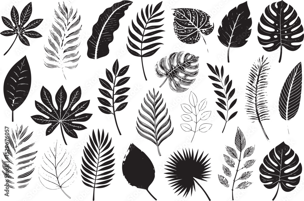 Tropical Palm Leaf Silhouettes Vector Pack
Tropical Palm Leaf Silhouettes Vector Pack