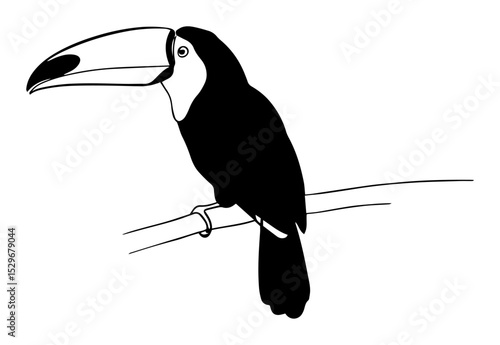 toucan bird sitting on branch in minimalist line style