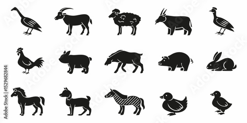 Photography wild animals silhouettes