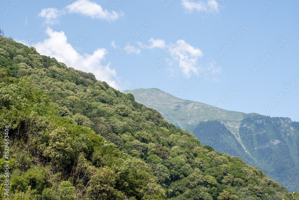 Fototapeta premium Mountain landscape on a sunny day. The mountains of Abkhazia