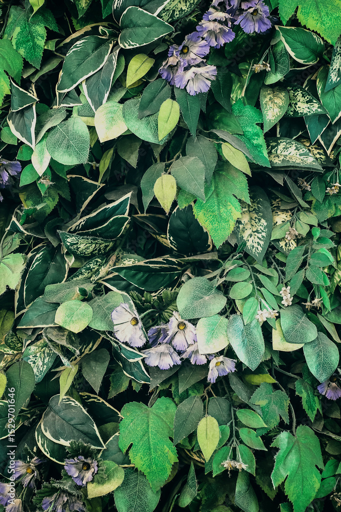 Fototapeta premium Beautiful nature background of vertical garden with tropical green leaf