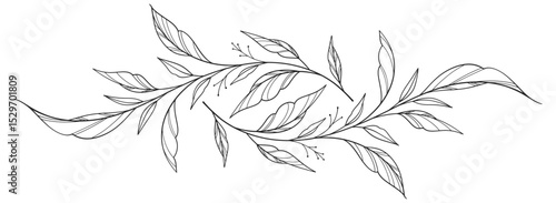 floral leaves line art isolated on white background. Divider doodle leaf and flowers, nature border decorative element vector illustration