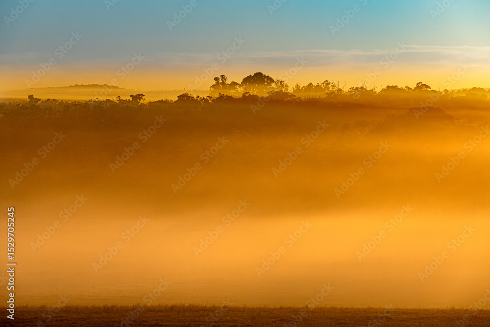 Fototapeta premium Early morning mist at sunrise at Kentdale in the Shire of Denmark, Great Southern region of Western Australia, WA, Australia.