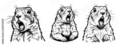 engraved groundhog animal expression set