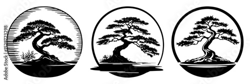bonsai tree in circular zen design
