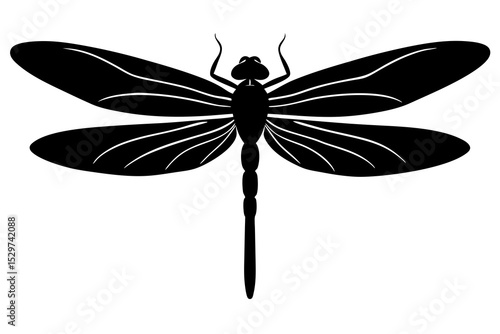 Black and white dragonfly silhouette illustration