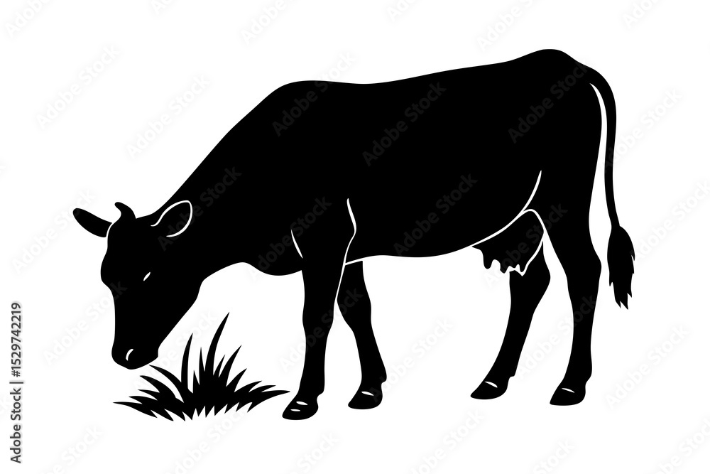 Fototapeta premium Black silhouette of cow grazing in pasture