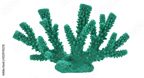 Fototapeta Naklejka Na Ścianę i Meble -  Isolated Green Sea Coral