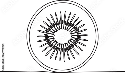 Continuous line drawing of a kiwi fruit cross-section in minimalist black and white single line art style

