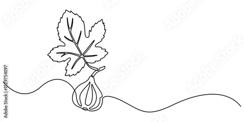 Abstract fig fruit with leaves, Continuous one line drawing isolated on white background, Continuous one single minimal line drawing Figs fruit, Single one line drawing whole healthy organic figs pro.