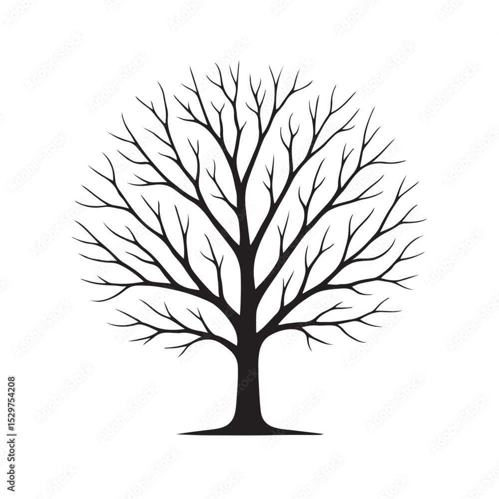 Silhouette of Leafless Tree with Bare Branches on White Background Silhouette of Leafless Tree with Bare Branches on White Background