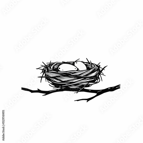 Two bird eggs in a nest on a branch.