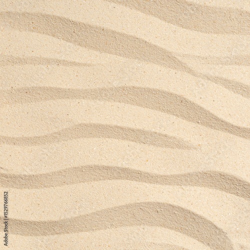 Uniform light dry sand texture, top view with granular detail