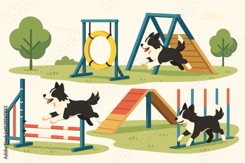 Dog agility training set. Border Collie practicing on an obstacle course in a park. Canine sport competition concept with elements like A-frame, weave poles, and tire jump.