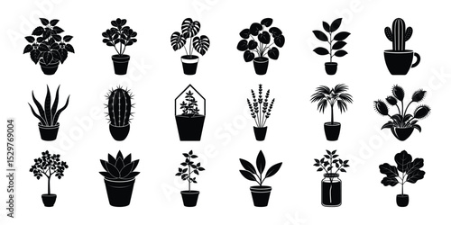 Set of indoor plant silhouettes on a white background