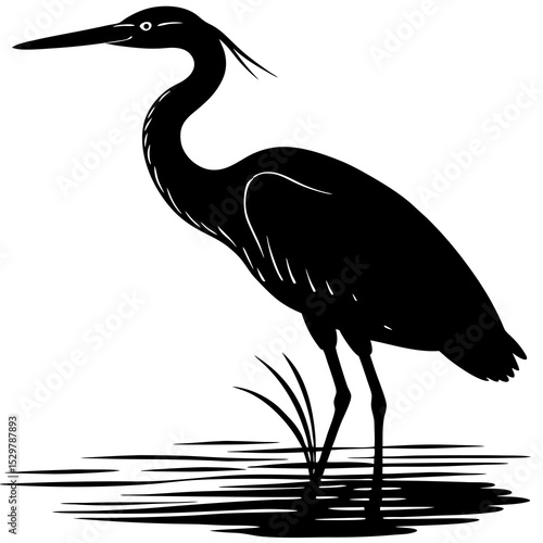 Elegant Heron Bird in Wetland