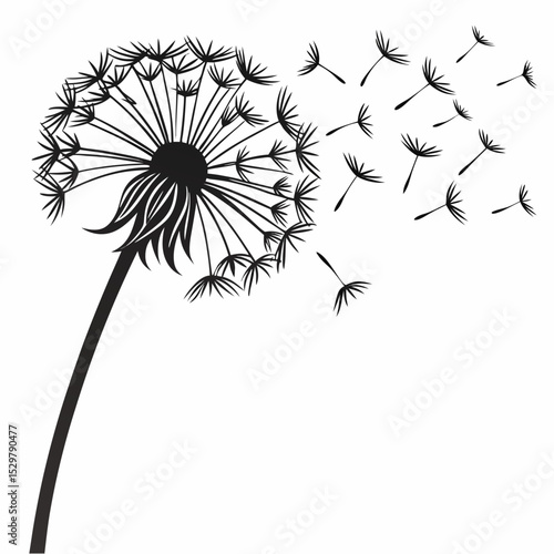 Black and white dandelion seeds blowing in the wind floral design