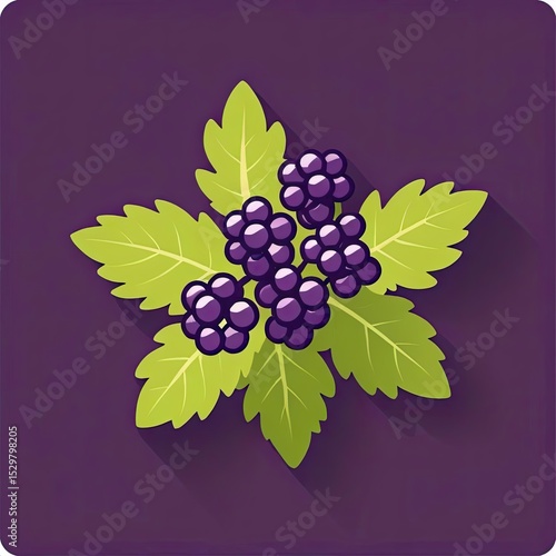 Fresh blackberries clustered on bright green leaves displayed on a deep purple background