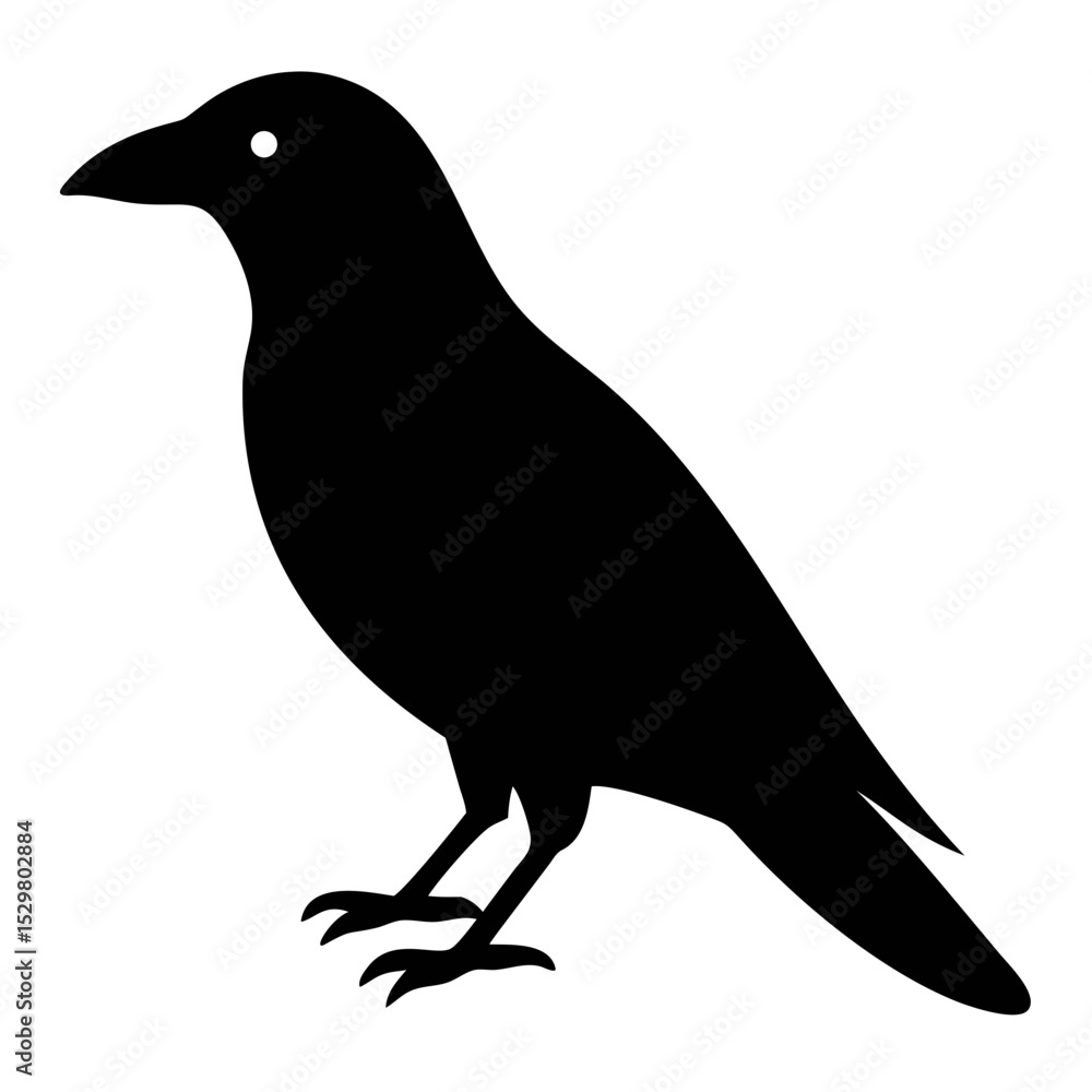 Fototapeta premium Raven Bird Silhouette