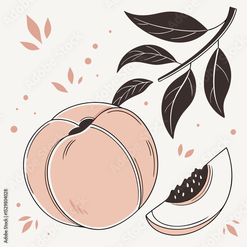 Fresh peach fruit illustration with leaves and slice