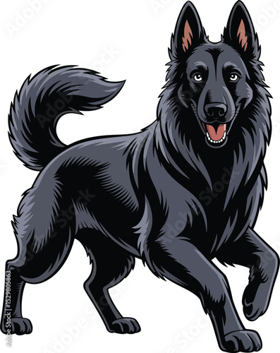 Belgian Shepherd Dog Vector