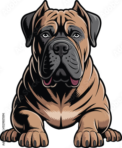 Cute Cane Corso Dog Vector