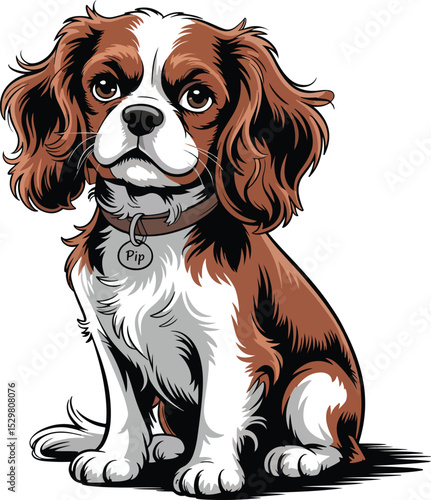 Cavalier King Charles Spaniel Dog