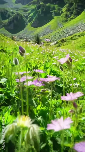 Vibrant Wildflowers in a Lush Alpine Meadow with Scenic Mountain Background
