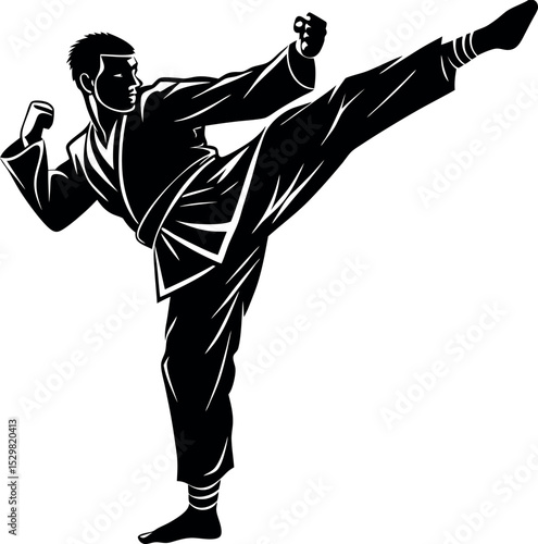 Silhouette of a martial artist doing high kick on white background
