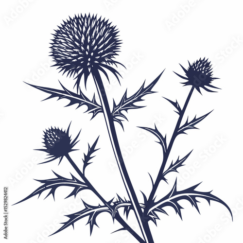 Bilde på lerret vector silhouettes of globe thistles